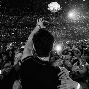 Meet your Posher, Aleesa